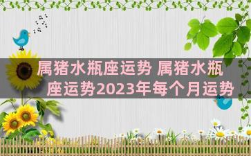 属猪水瓶座运势 属猪水瓶座运势2023年每个月运势